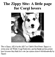 Zippy’s first web page