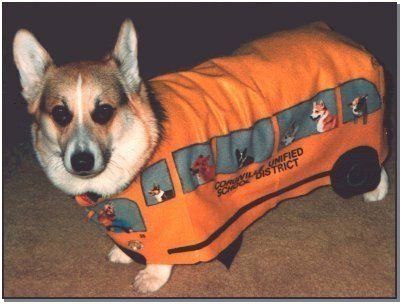 Zippy's Halloween costume