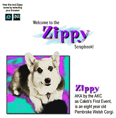 First Zippyweb page