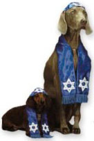 Dog wearing prayer shawl and yarmulke costume