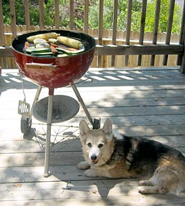Zippy guards food on the grill