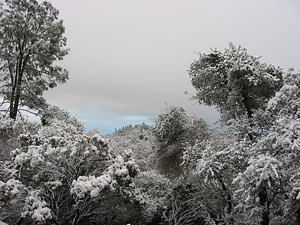 A snowy landscape